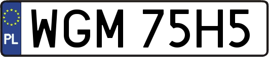 WGM75H5