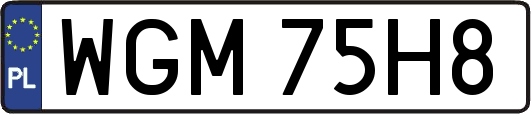 WGM75H8