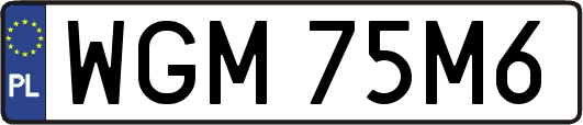 WGM75M6
