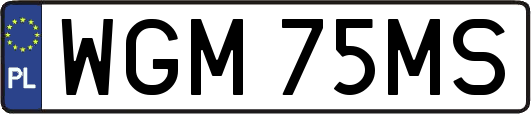 WGM75MS