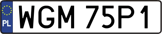 WGM75P1