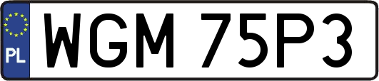 WGM75P3
