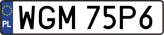 WGM75P6