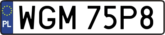 WGM75P8
