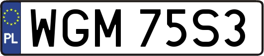 WGM75S3