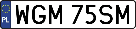 WGM75SM