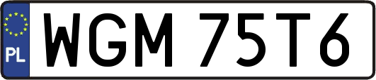 WGM75T6
