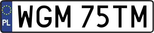 WGM75TM
