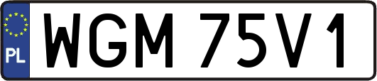 WGM75V1