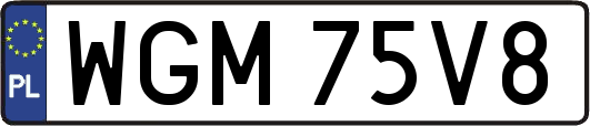 WGM75V8