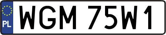 WGM75W1