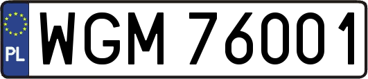 WGM76001