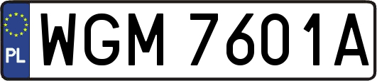 WGM7601A