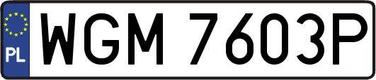 WGM7603P