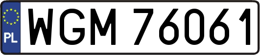 WGM76061