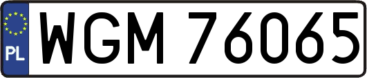 WGM76065