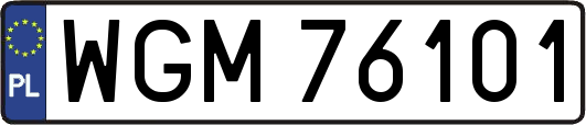 WGM76101