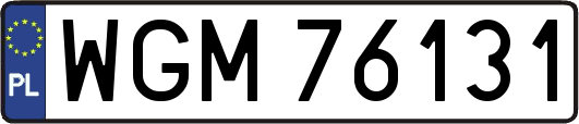 WGM76131