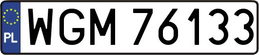 WGM76133