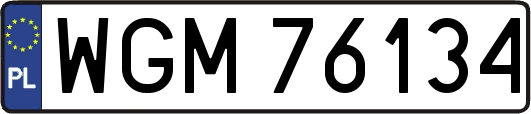 WGM76134