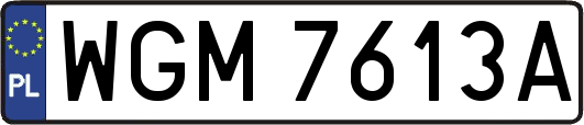 WGM7613A