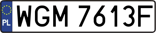 WGM7613F