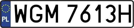 WGM7613H
