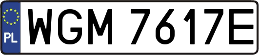 WGM7617E