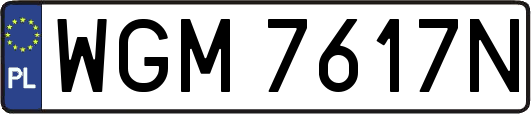 WGM7617N