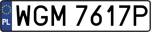 WGM7617P