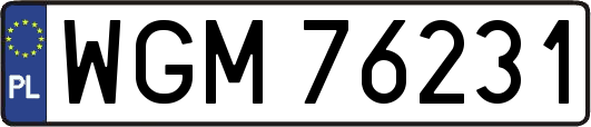 WGM76231