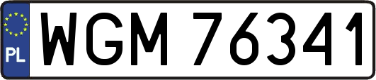 WGM76341