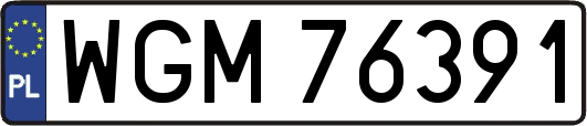 WGM76391