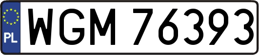 WGM76393