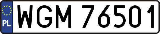 WGM76501