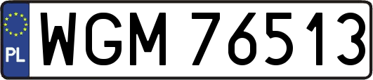 WGM76513