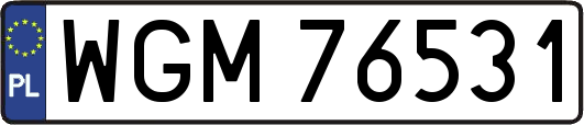 WGM76531