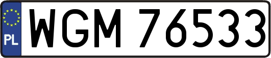 WGM76533