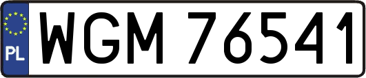 WGM76541