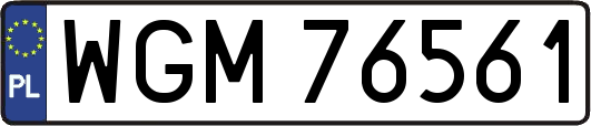 WGM76561