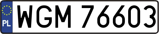WGM76603