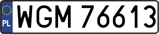 WGM76613