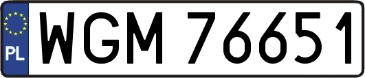 WGM76651