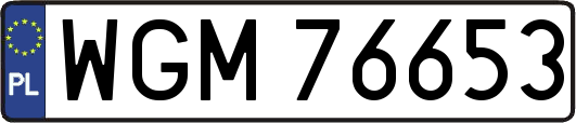 WGM76653
