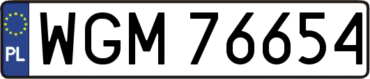 WGM76654