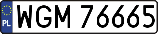 WGM76665