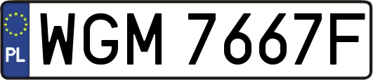 WGM7667F