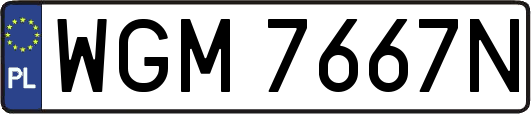 WGM7667N