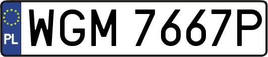 WGM7667P