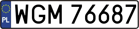 WGM76687
